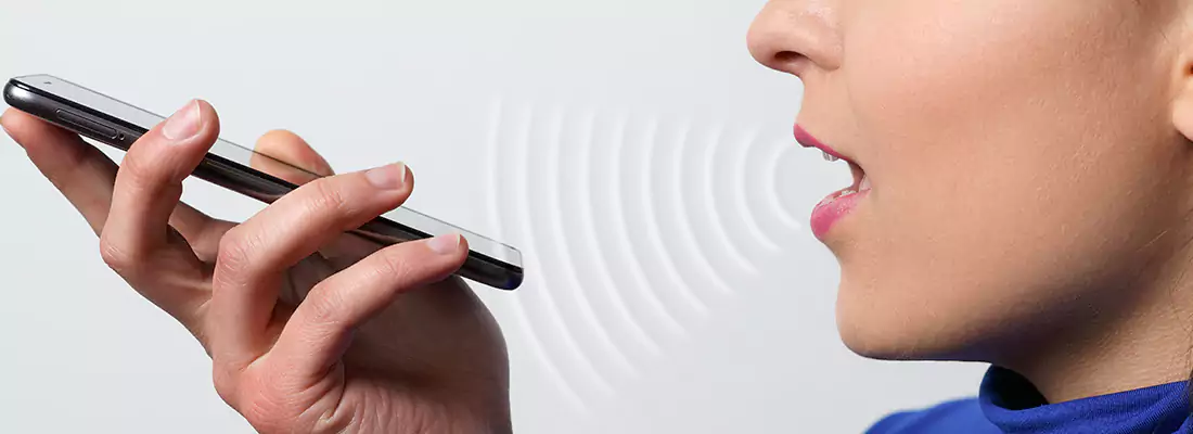 Residential and Commercial Voice Recognition Access Solutions in Pace, FL