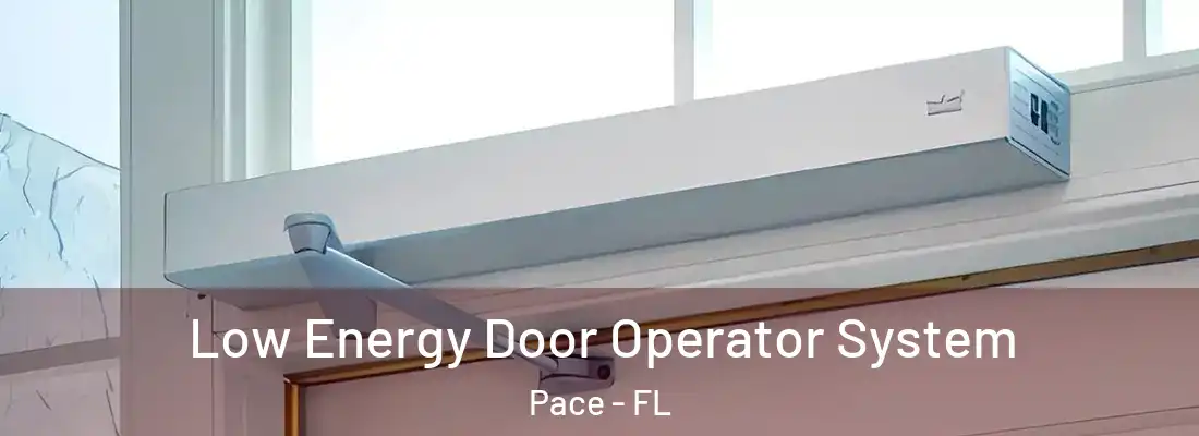  Low Energy Door Operator System Pace - FL
